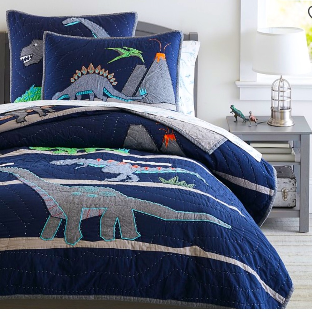 Warren Dinosaur twin Quilt by Pottery Barn Kids- gently used